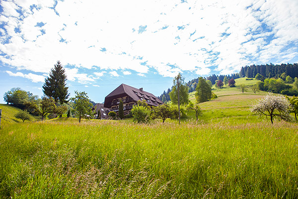 Landhaus Langeck - Hotel und Restaurant in Münstertal Schwarzwald