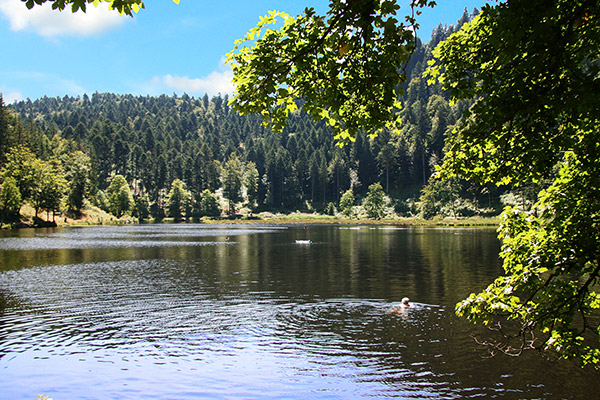 Naturbadesee Nonnenmattweiher