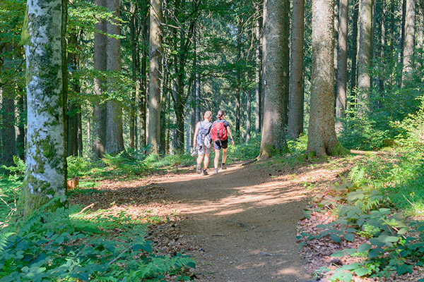 Natur beim Wandern genießen