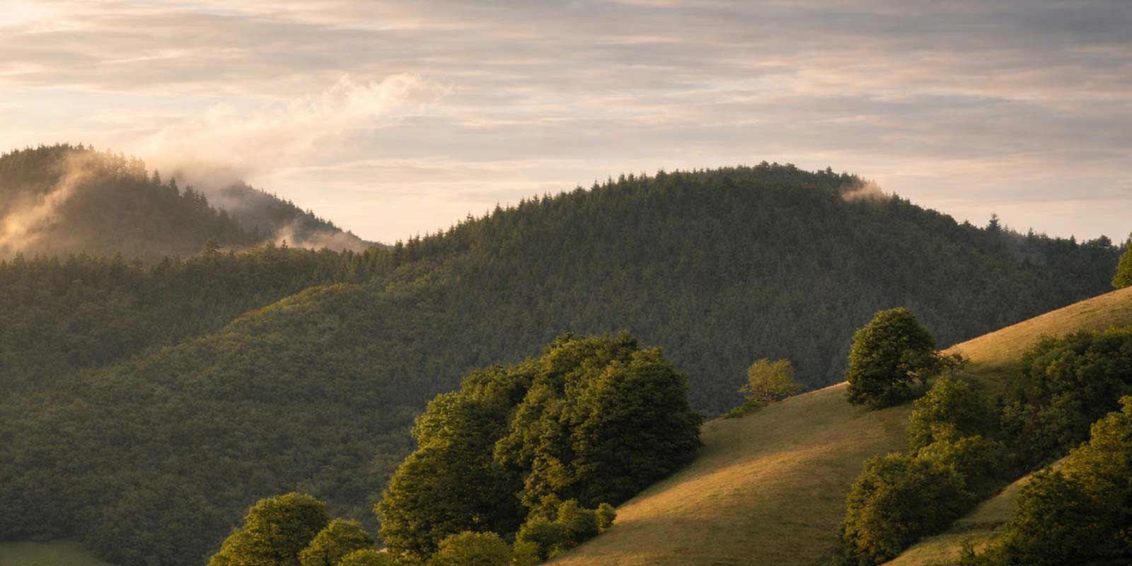 Schwarzwald