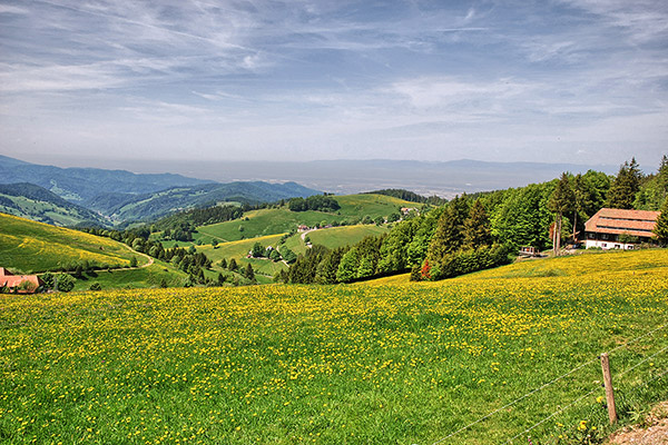 Ausblick vom Schauinsland